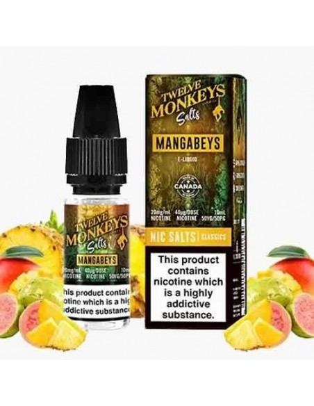 Mangabeys - Sel de nicotine -  Twelve Monkeys